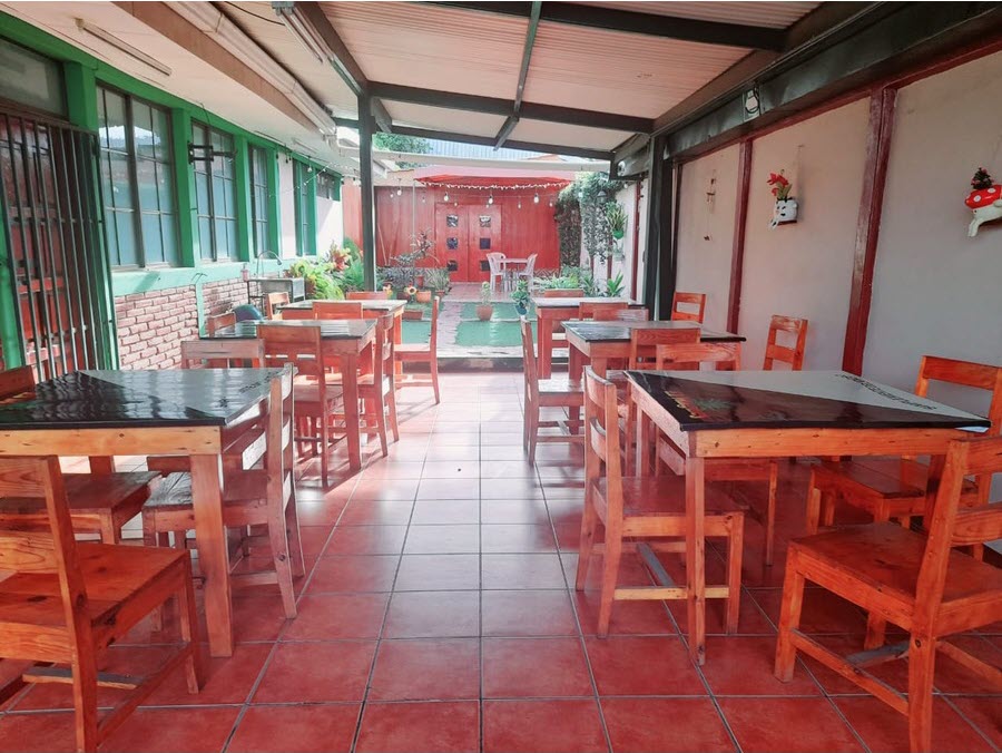 Área de mesas al aire libre de El Maguey, con mesas de madera y el jardín al fondo